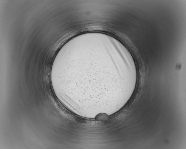 X0000113941225200911061234