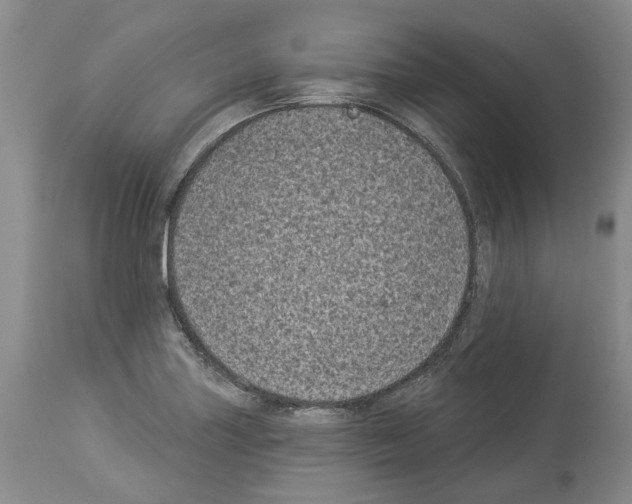 X0000113941227200911061234
