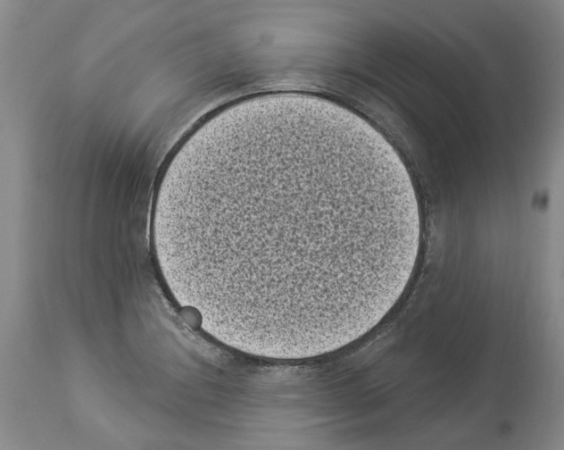 X0000113941228200911061234