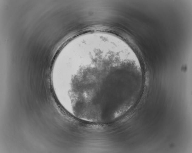 X0000113941229200911061234