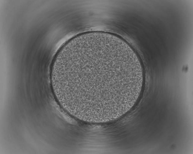 X0000113941230200911061234