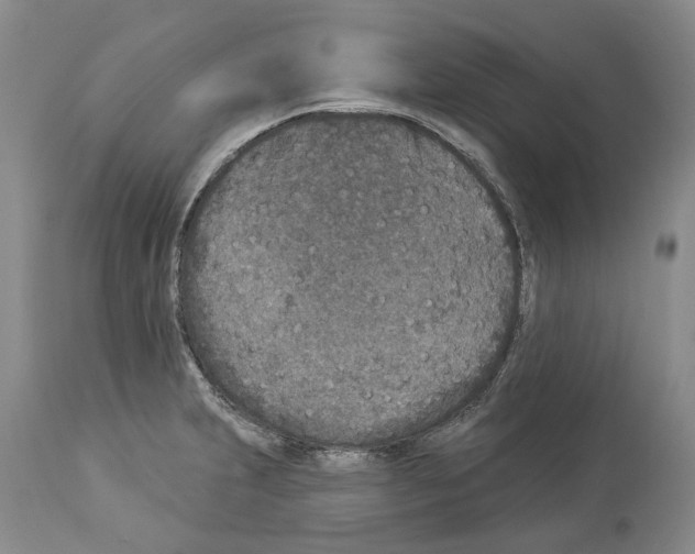 X0000113941231200911061234