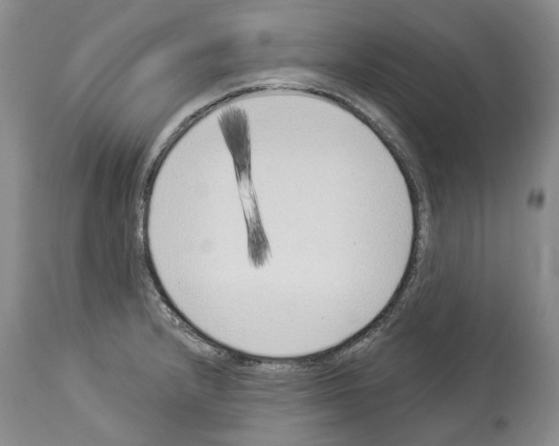 X0000113941232200911061234