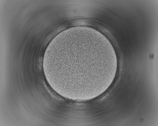 X0000113941233200911061234