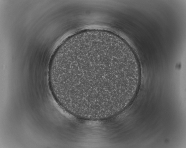 X0000113941237200911061234