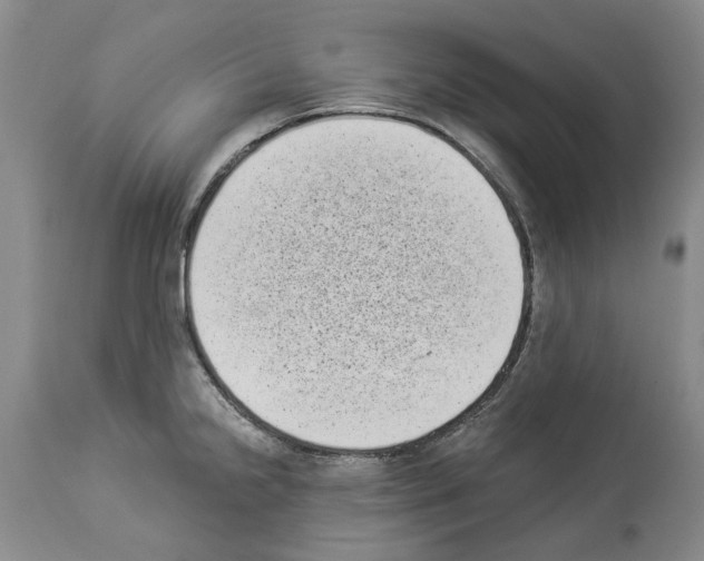 X0000113941238200911061234