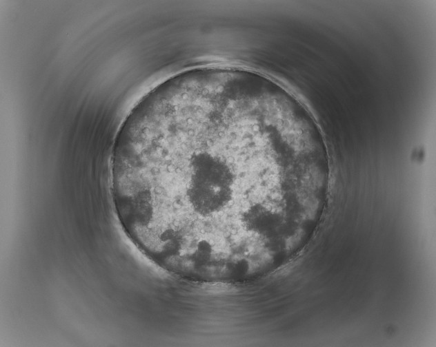 X0000113941239200911061234