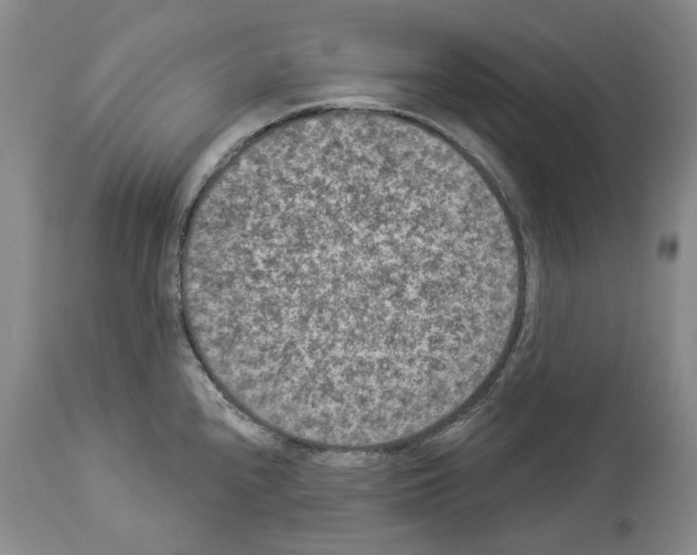 X0000113941240200911061234