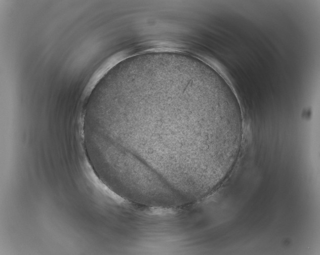 X0000113941243200911061234