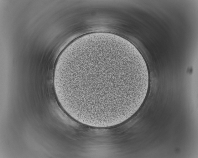 X0000113941244200911061234