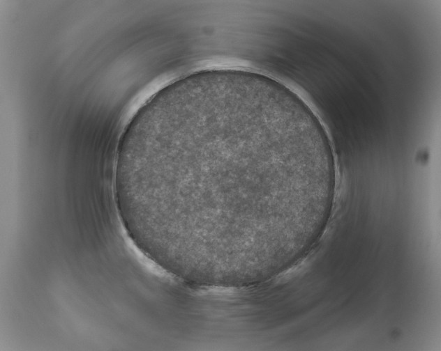 X0000113941245200911061234