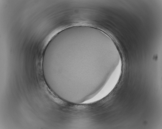 X0000113941246200911061234