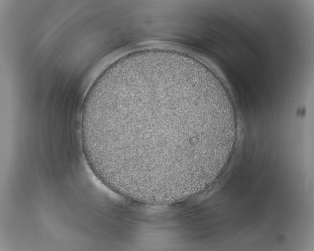 X0000113941247200911061234