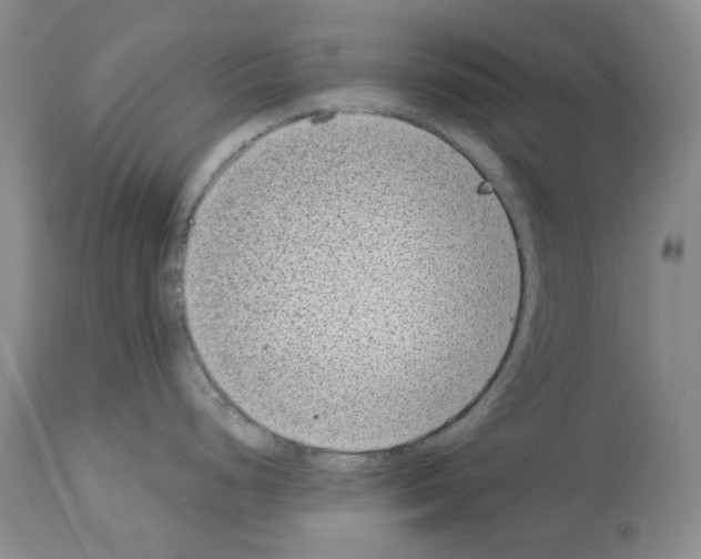 X0000113941248200911061234