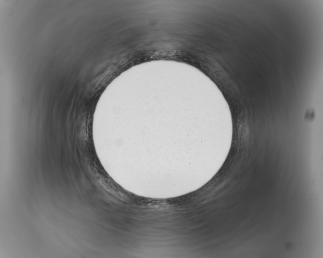 X0000113941250200911061233