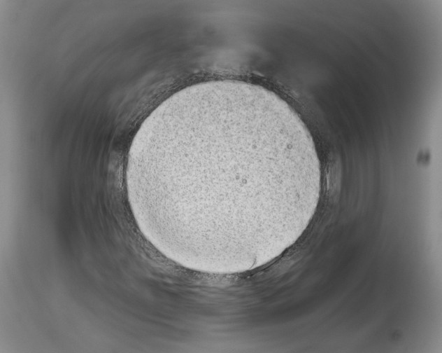 X0000113941251200911061233