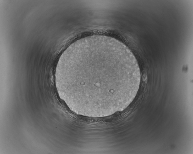 X0000113941252200911061233