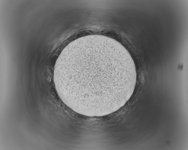 X0000113941253200911061233
