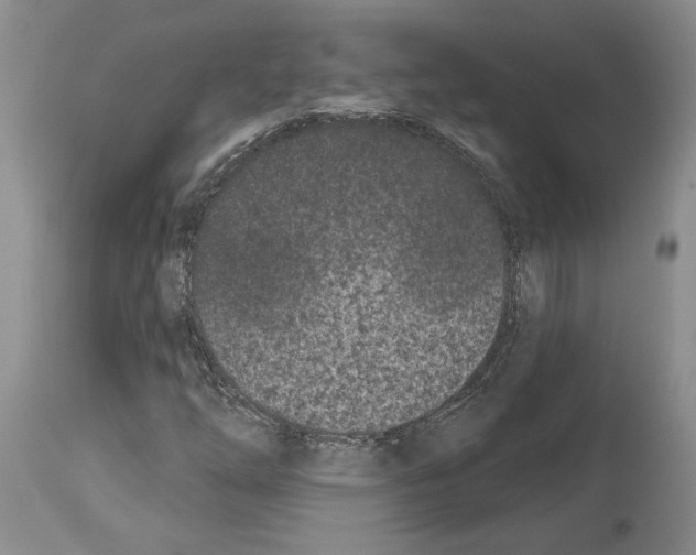 X0000113941254200911061233