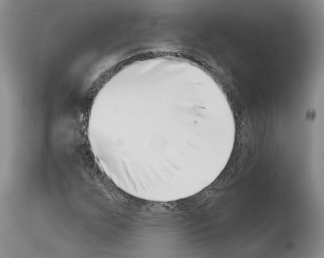 X0000113941255200911061233