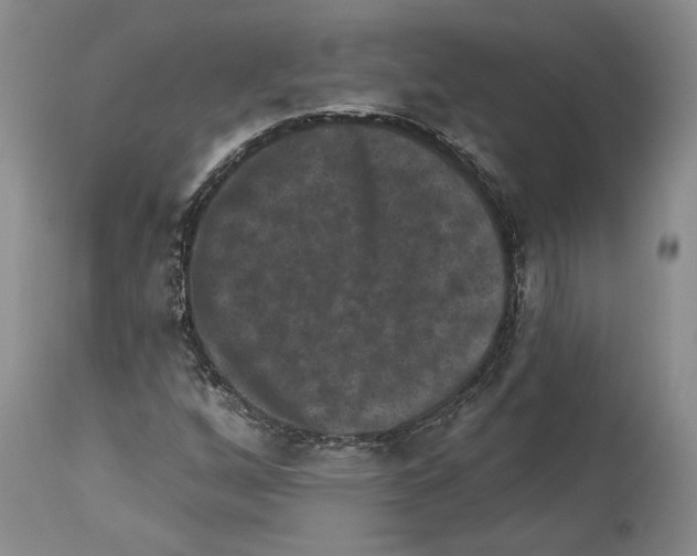 X0000113941256200911061233