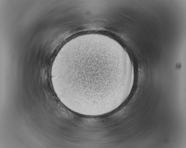 X0000113941257200911061233