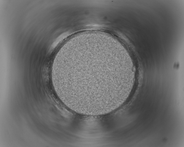X0000113941259200911061233