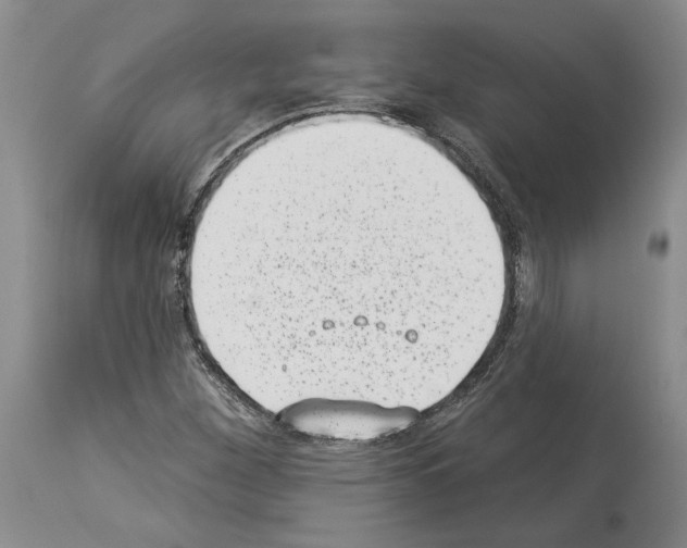 X0000113941260200911061233