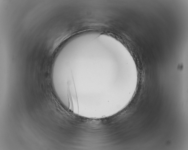 X0000113941261200911061233