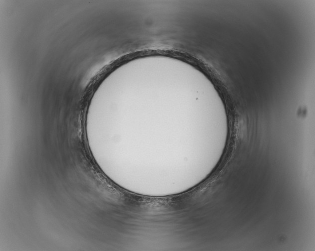 X0000113941262200911061233