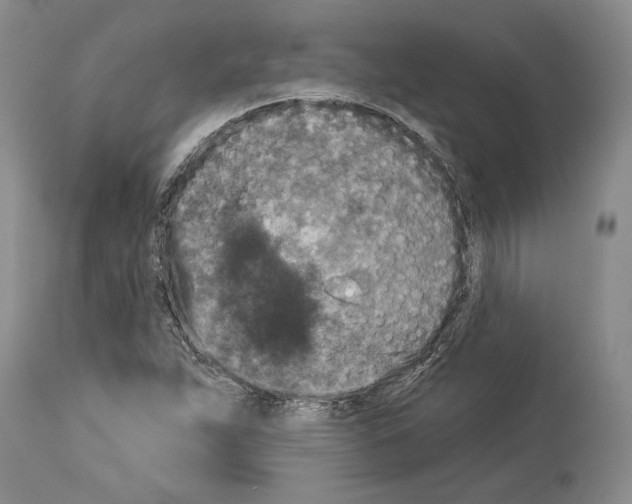 X0000113941263200911061233