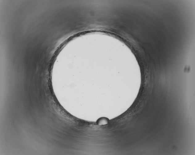 X0000113941264200911061233