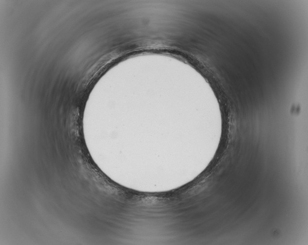 X0000113941265200911061233