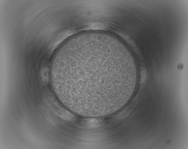 X0000113941266200911061233