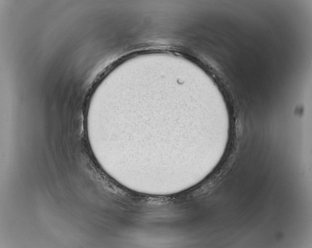 X0000113941267200911061233