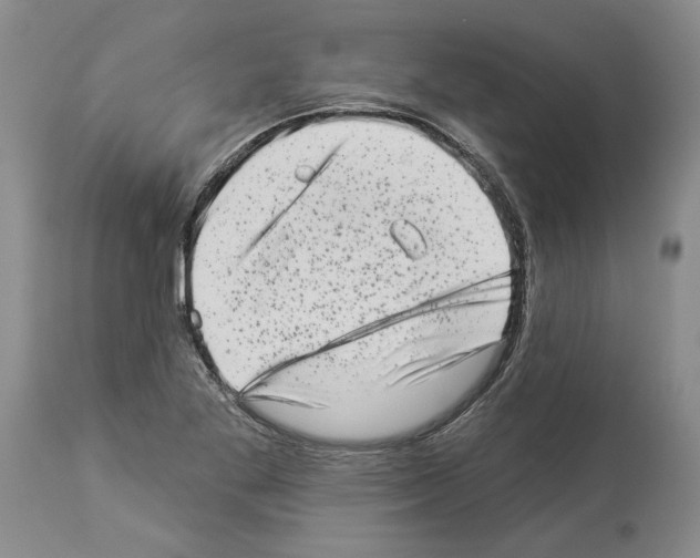X0000113941269200911061233