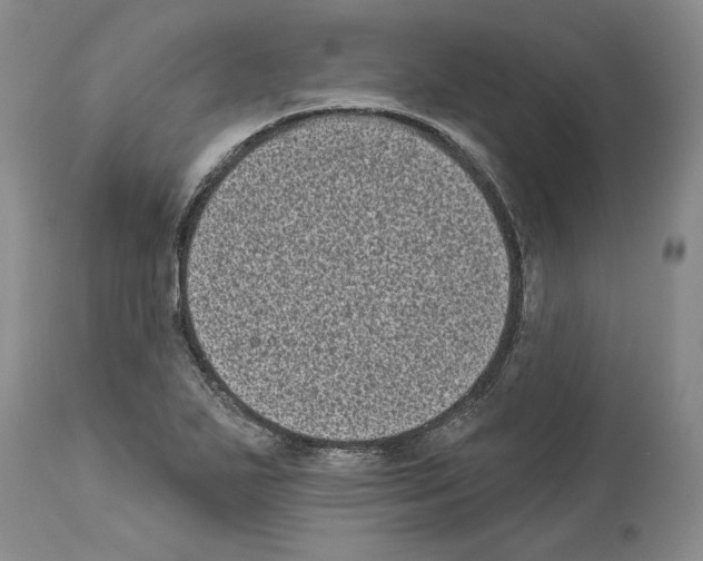 X0000113941271200911061233