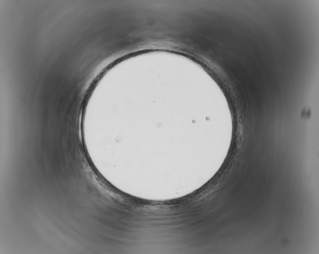 X0000113941272200911061233