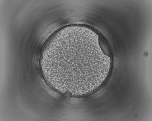 X0000113941273200911061233