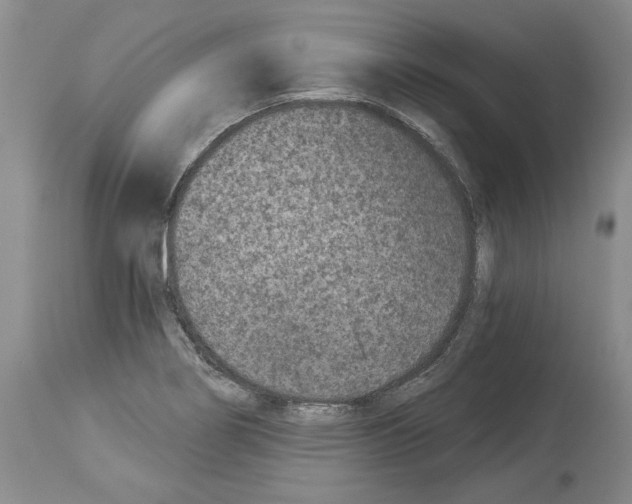 X0000113941274200911061233