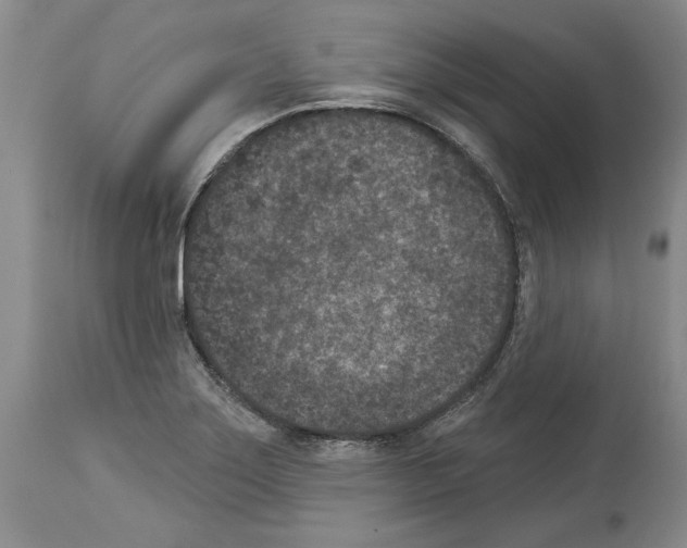 X0000113941275200911061233