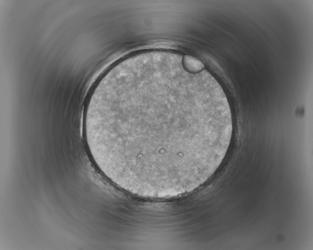 X0000113941276200911061233