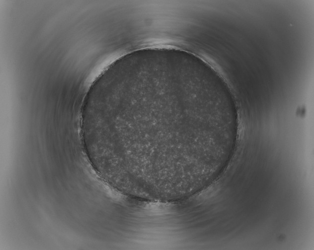 X0000113941277200911061233