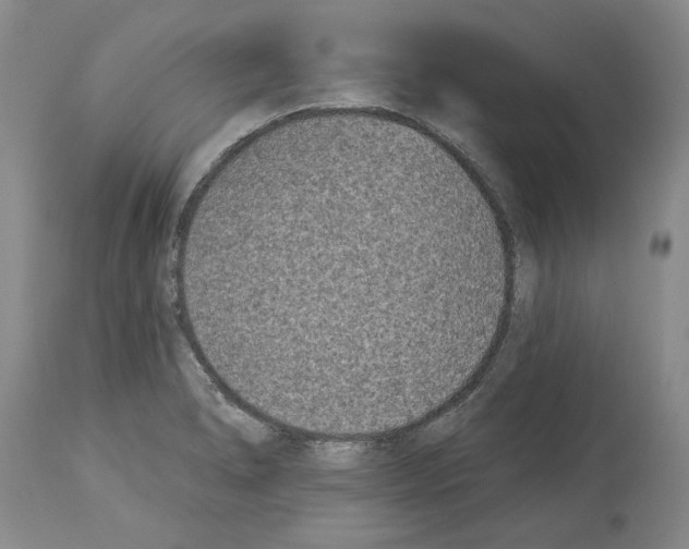 X0000113941278200911061233