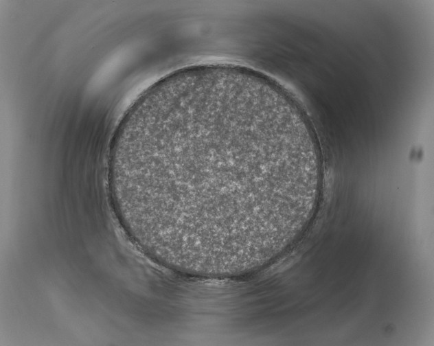 X0000113941279200911061233