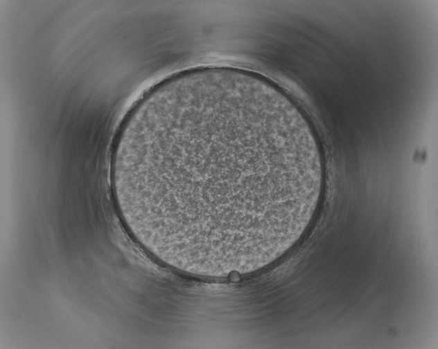 X0000113941280200911061233