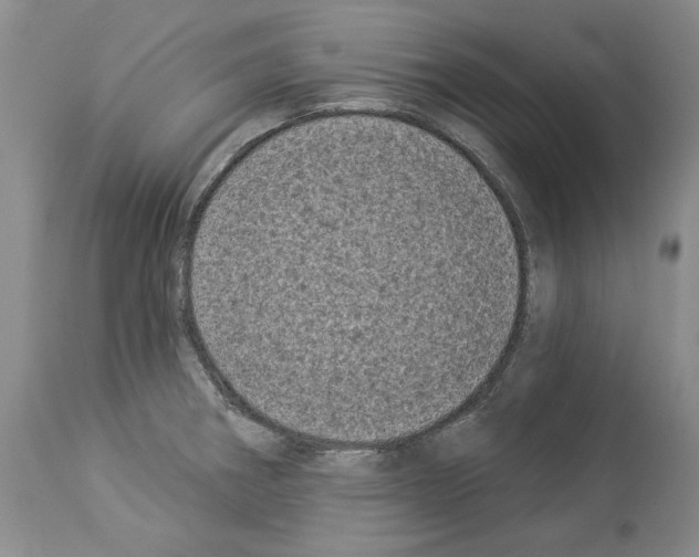 X0000113941282200911061233