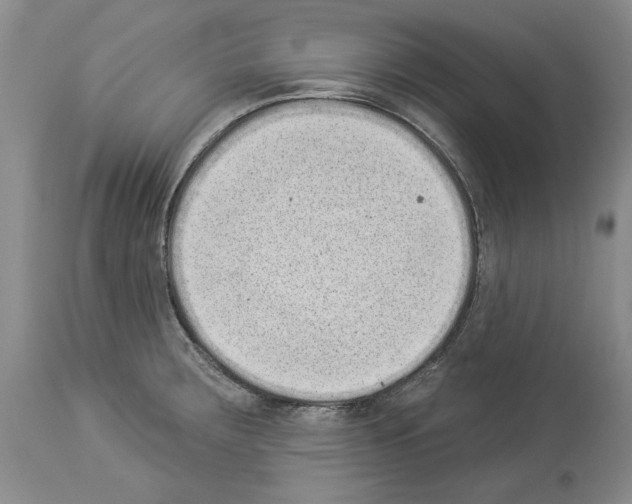 X0000113941283200911061233