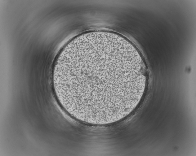 X0000113941285200911061233