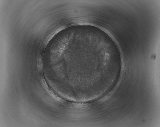 X0000113941289200911061233